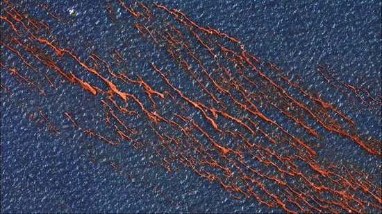 Ocean biogeochemistry